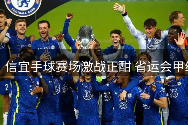信宜手球赛场激战正酣 省运会甲组赛事上演精彩对决
