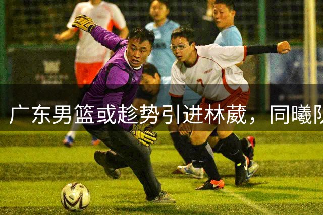 广东男篮或趁势引进林葳，同曦队面临资金困境