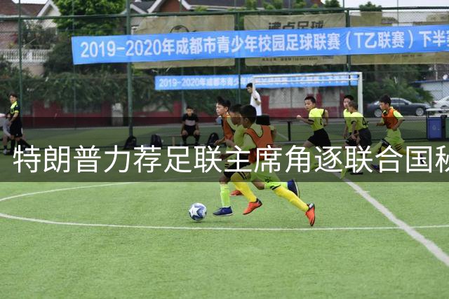 特朗普力荐足联主席角逐联合国秘书长 五大常任理事国态度成关键